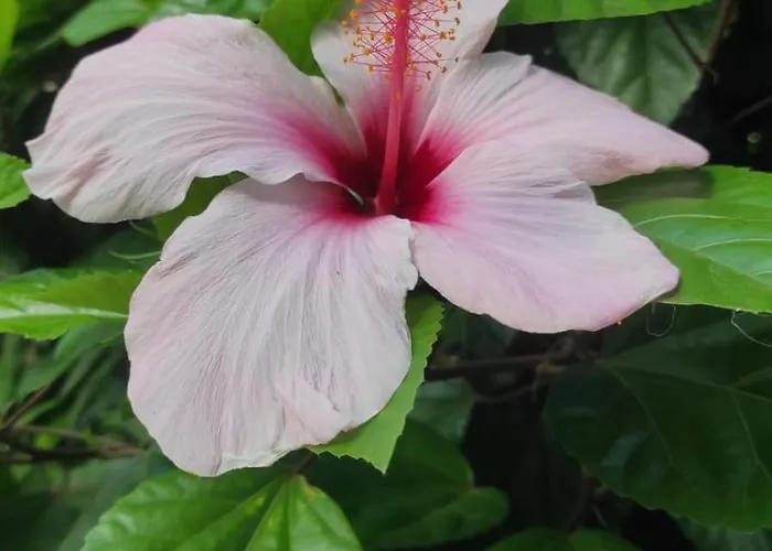 בית נופש La Playa Del Sol 2 *